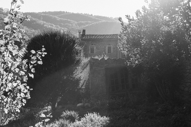 30662104811_34329983c4_z