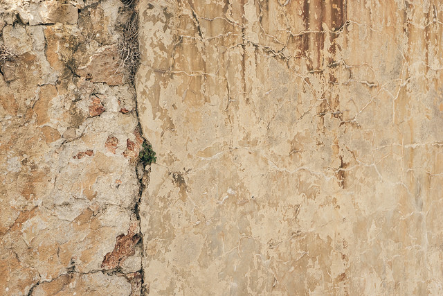 26520231652_b5aace8d33_z